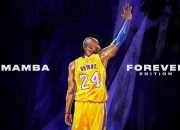 九游娱乐网页-赛道与球场，伦纳德率队决胜之夜，F1争冠悬念的另类启示