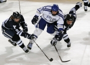 九游体育APP下载-当灰熊跨洋收割吉林，一场跨越万里的篮球文化误读