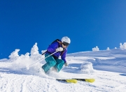 九游体育官方入口-拉沃尔杯的团队魔力，为何碾压法网的叙事，正由阿尔卡拉斯这样的新星改写？