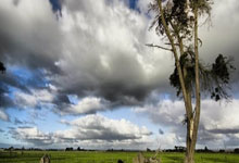 九游体育直播-克里斯蒂亚诺·罗纳尔多破门，助尤文图斯夺冠的简单介绍