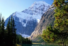 九游中国-BRO血洗SHR，保罗一己之力扛起全队鏖战多局八强赛，让粉丝疯狂欢呼