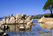 九游娱乐-欧冠惊魂夜！阿根廷巨人86分钟绝杀曼城中国小将助攻改写命运